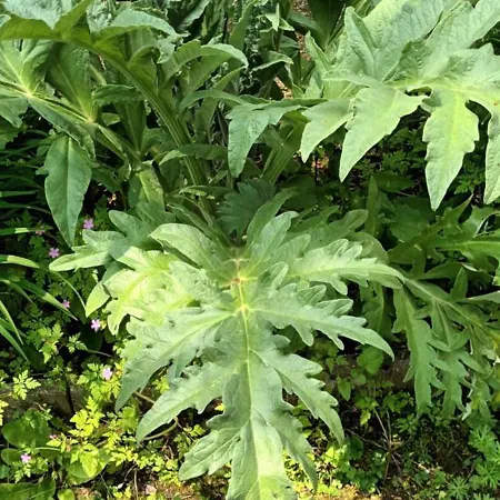 L'echauguette Du Perche Сasa de vacaciones