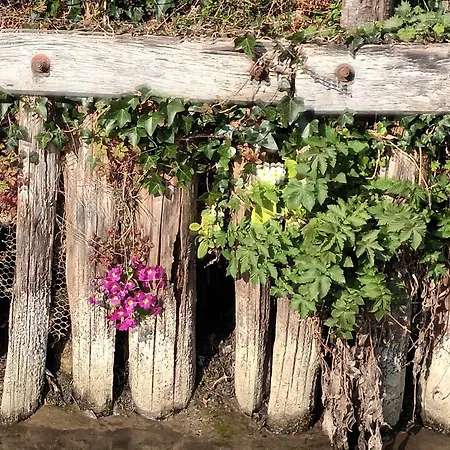 L'echauguette Du Perche Tatil Evi *