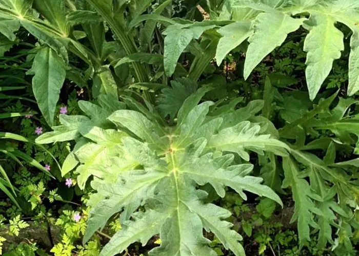 L'echauguette Du Perche 度假居