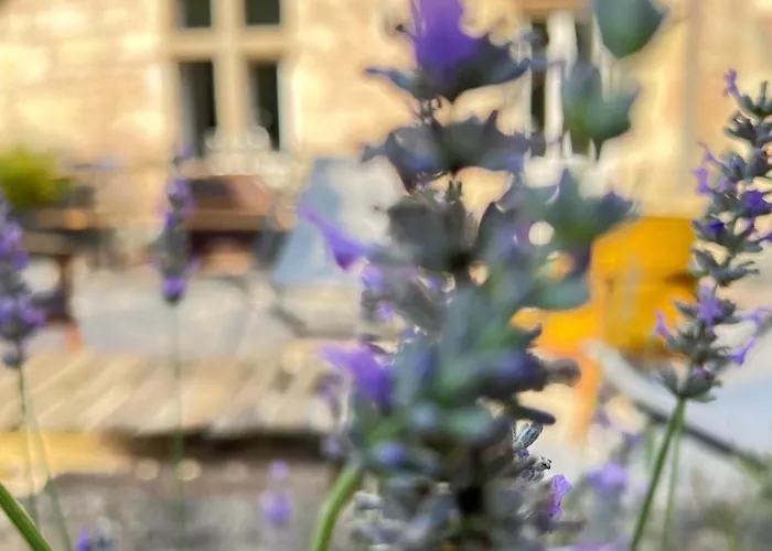 L'echauguette Du Perche * Préaux